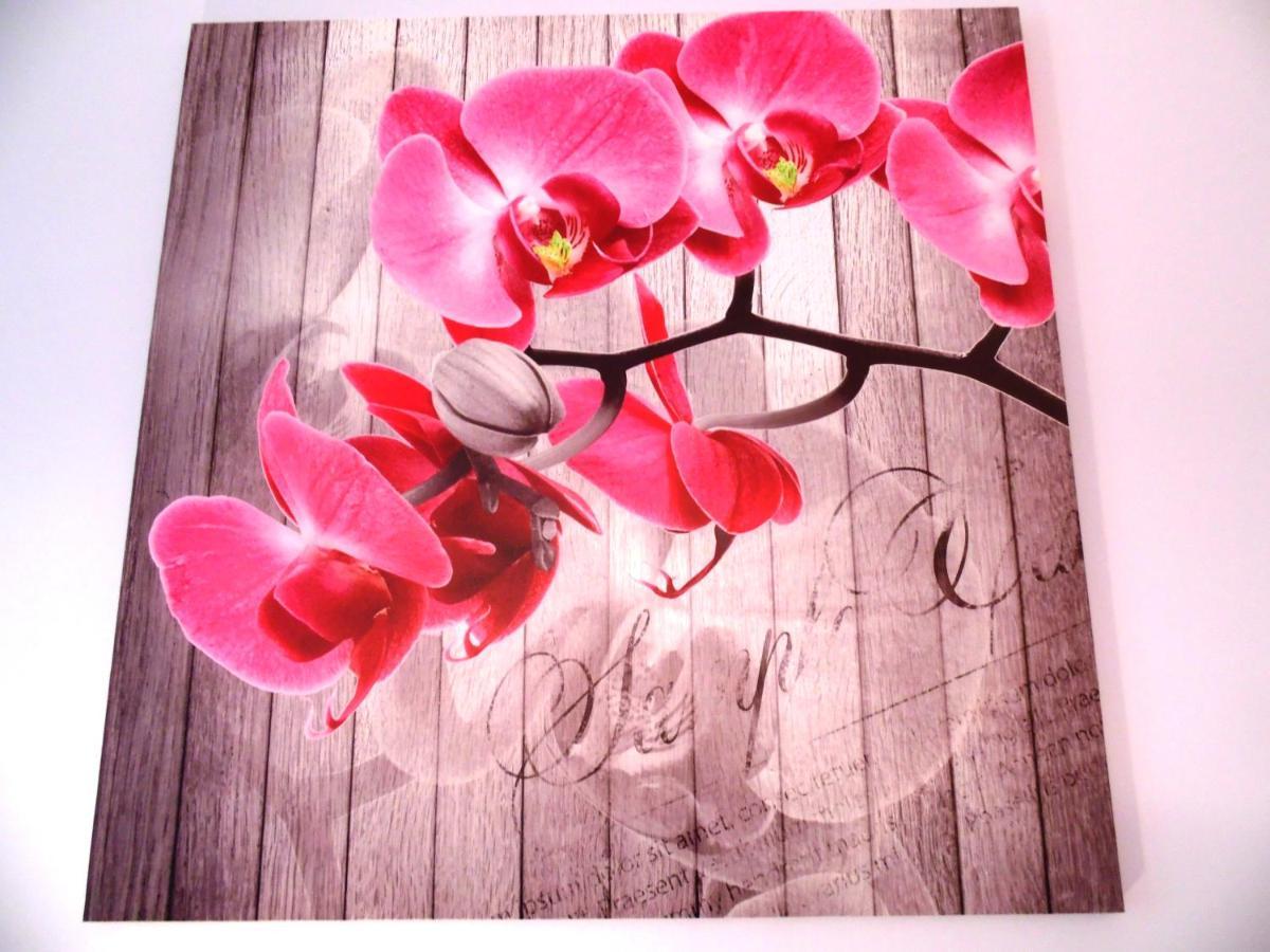קרקוב Apartament Orchidea מראה חיצוני תמונה